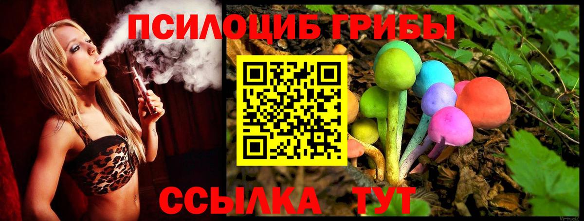 где купить наркоту  Галлюциногенные грибы GOLDEN TEACHER  Вход с VPN  Тихорецк 